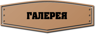 Галерея